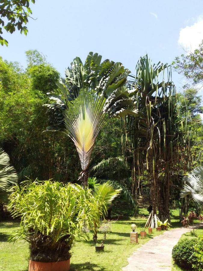 Beautiful Flower Resort Pak Meng Esterno foto