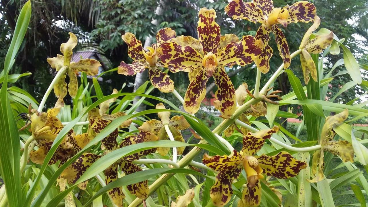 Beautiful Flower Resort Pak Meng Esterno foto